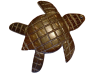 Coconut-turtle-icon