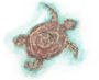 Painted-turtle-icon