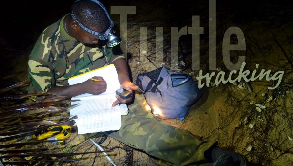 Turtle-Tracking