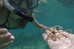 Students snorkeling. Photo: Hannah Ratcliff